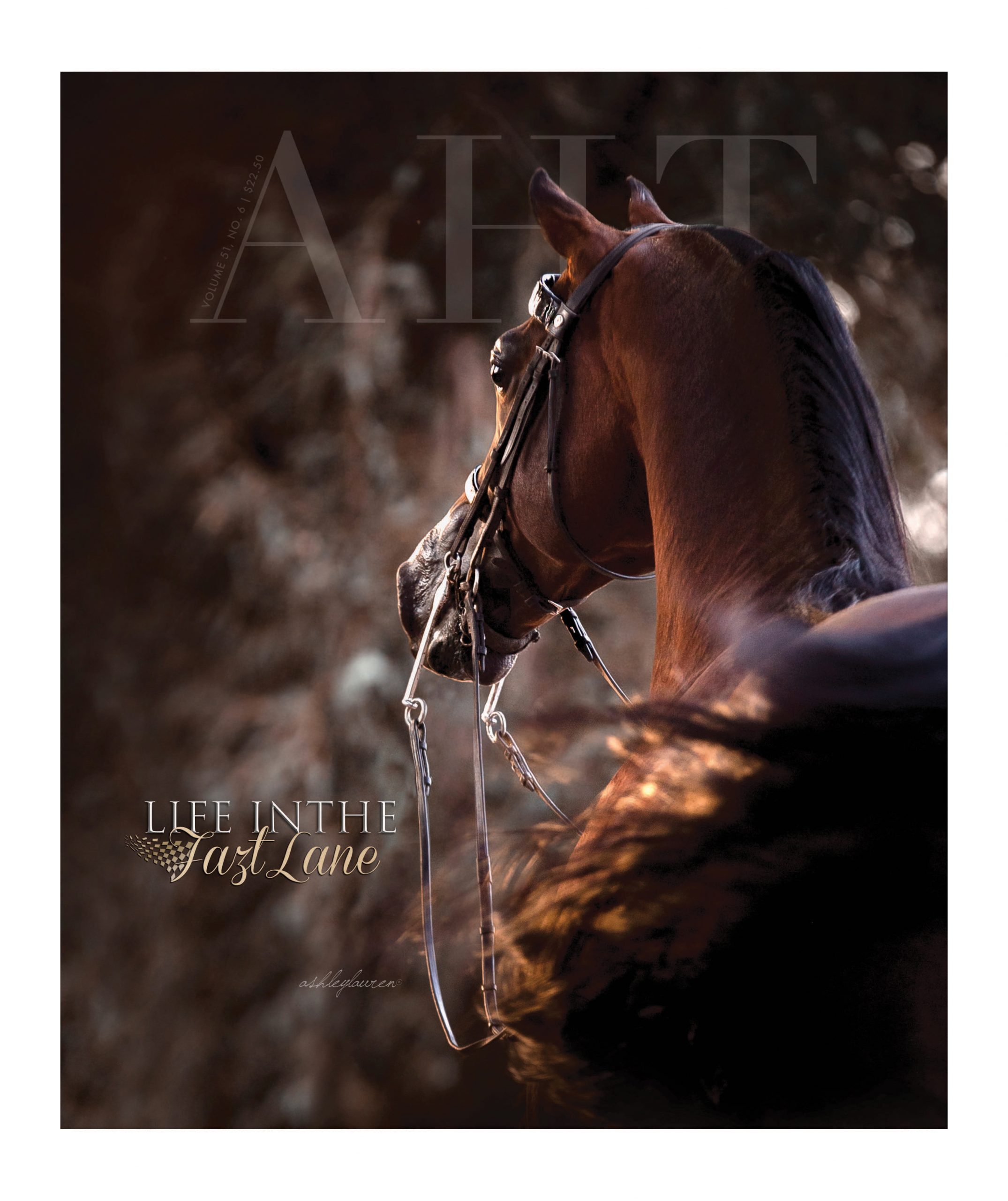 February – Life Inthe Fazt Lane, photo by Ashley Lauren Toye