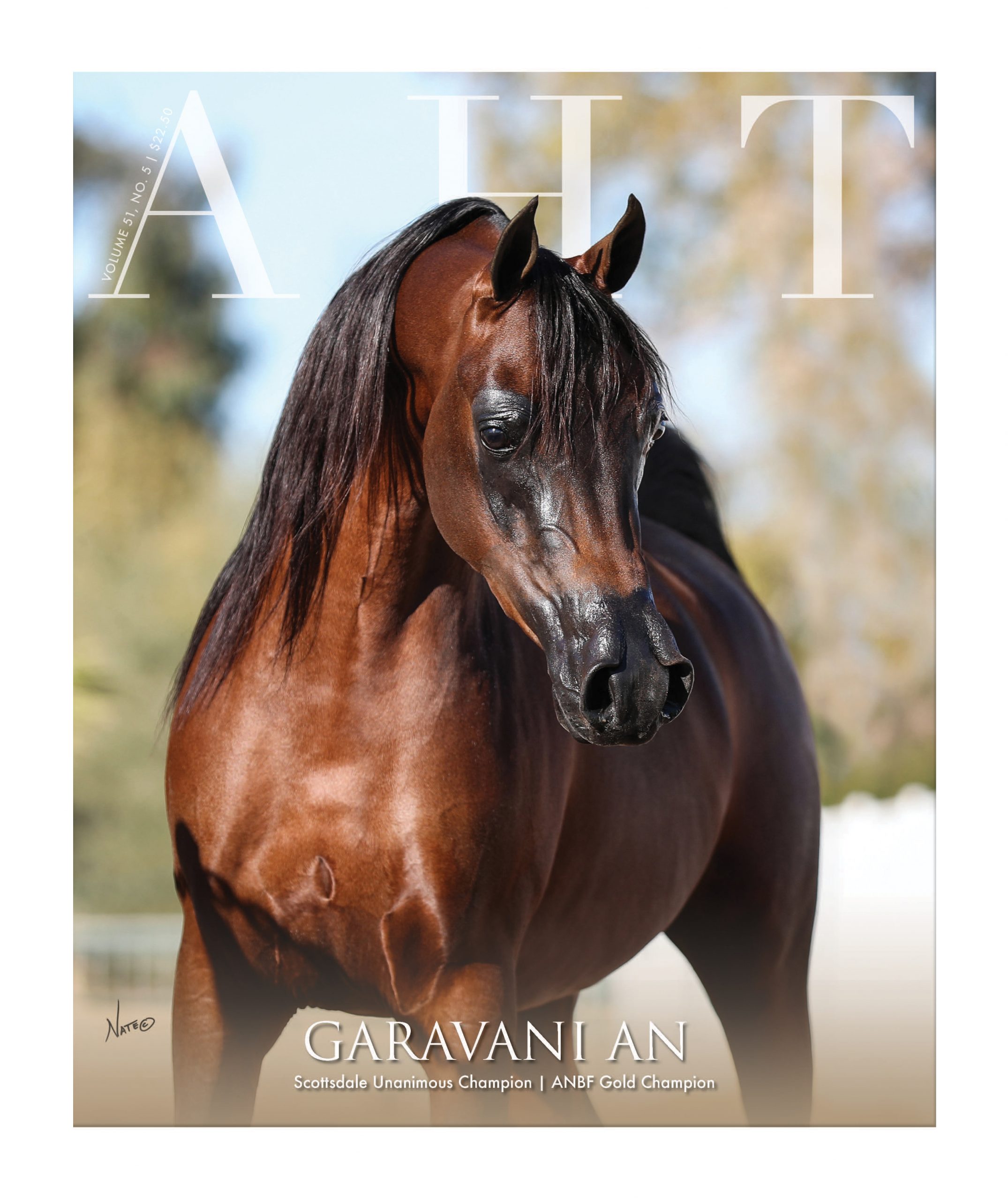 January – Garavani AN, photo by Nate White
