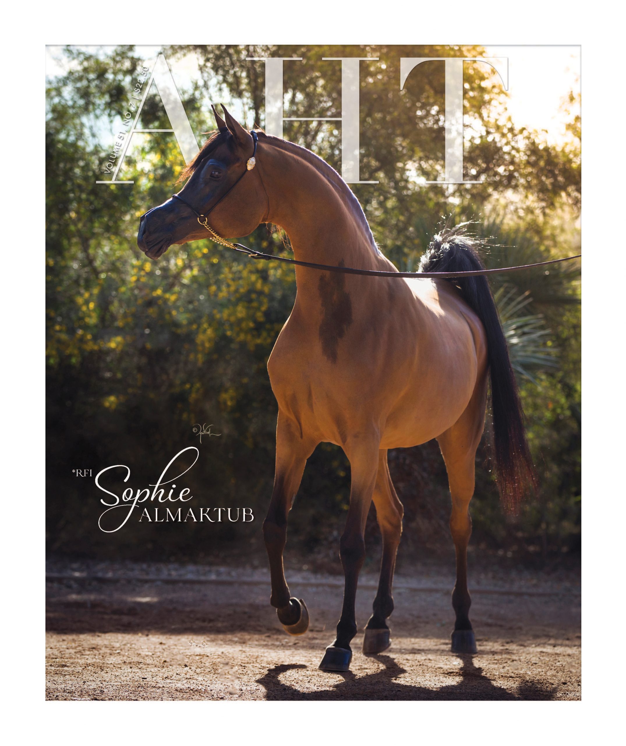 March – *RFI Sophie Almaktub, photo by April Visel