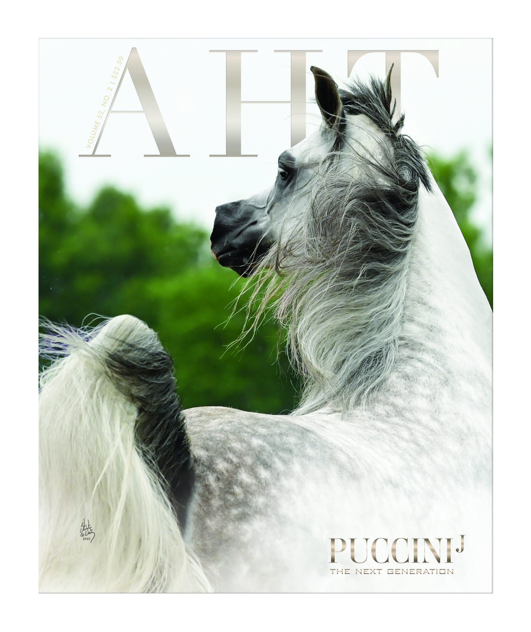 August – Puccini J, photo by Stuart Vesty