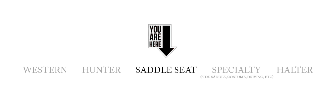 Saddle Seat
